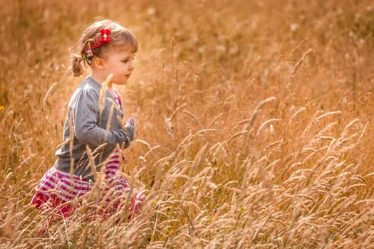 Baby girl walking among the high grass on a meadow in autumn