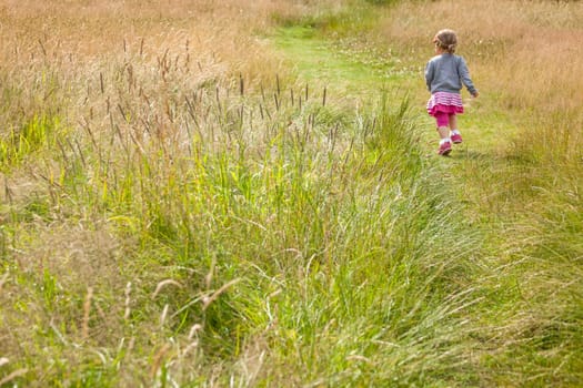 Baby girl walking among the high grass on a meadow in autumn