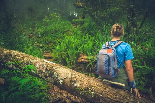 Girl resting on a fallen tree log the jungle path to the summit of Gunung Rinjani volcano in Lombok, Indonesia