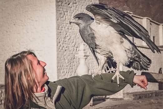 Female tourist with a native to the Andes eagle resting on her stretched arm in Colca Canyon in Peru, South America