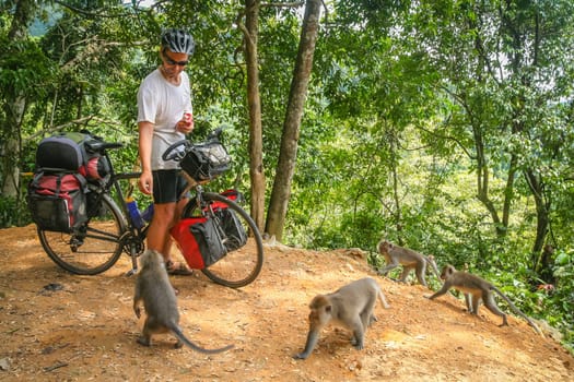 Male cyclist feeding group of monkeys while on a cycle touring trip in Bali, Indonesia