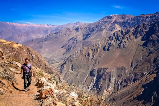 Tourist walking alone on the narrow path along the cliff of the mountain in Canyon Colca, Peru, South America