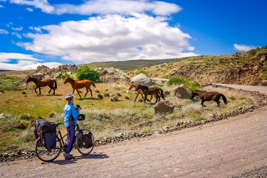 Woman cycling on the remote road in southern Argentina, taking pictures of a group of wild horses that just crossed the road in front of her