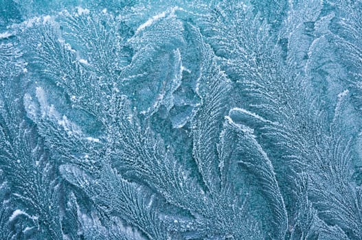 Iceflowers, frozen.The ice-cold frost forms ice crystals in beautiful unique patterns