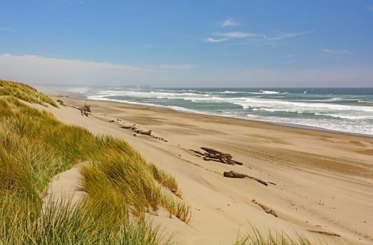Sun and Wind on the Pacific Coast at Bullards Beach State Park in Oregon