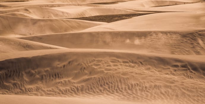 Close op of the stunning sand dunes in  the Natural Reserve of Dunes of Maspaloma in Gran Canaria