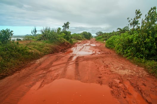 Sandy and mussy road through the Madagascar jungle