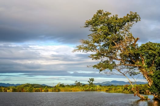 River delta in the northern part of Madagascar near Maroantsetra