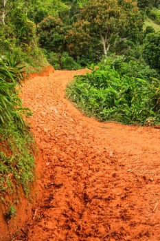 Muddy road in the Madagascar jungle from Maroansetra to Antalaha