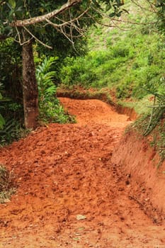 Muddy road in the Madagascar jungle from Maroansetra to Antalaha
