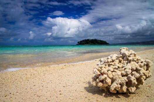 Single coral on the beach on the Nosy Antafa island natural reserve and national pak