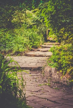 Stony pathway in a Rookery public park in autumn, Streatham Common, London