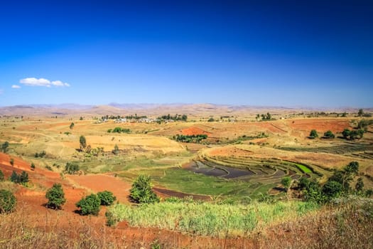 Ricefields as a part of stunning rural landscape of Madagascar central highlands