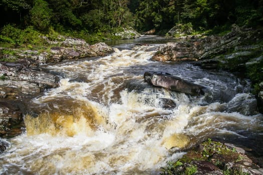 River flowing through Ranomafana National Park in Madagascar