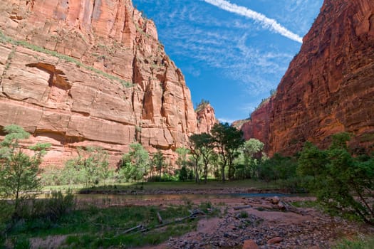 Canyon in the state of Utah southwest of the United States. Impressive rock formations and deep gorges engraved and shaped by the strength of the waters of the Virgin river.