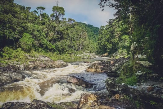 River flowing through Ranomafana National Park in Madagascar