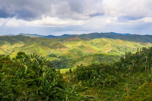 Aerial view of the dense Madagascar rainforest