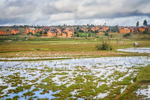 Small rural village in central plateau in Madagascar