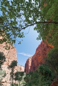 Canyon in the state of Utah southwest of the United States. Impressive rock formations and deep gorges engraved and shaped by the strength of the waters of the Virgin river.