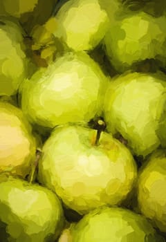 Pearmain apples freshly collected from a tree