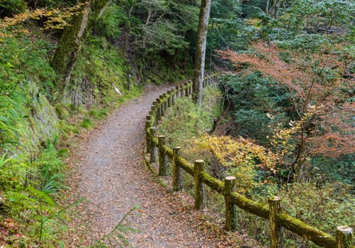 Hinking trail at Minoo or Minoh park in autumn, Osaka, Japan. One of Japan's oldest national parks.