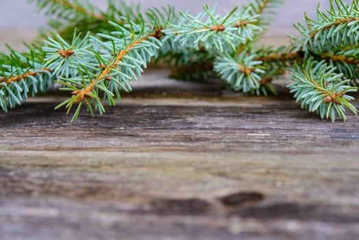 christmas sill with fir branch on wooden ground