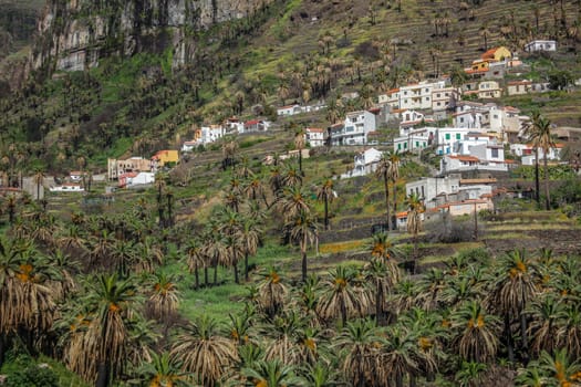 Hillside homes in the Valle Gran Rey on the island of La Gomera, Canary Islands, Spain