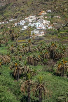 Hillside homes in the Valle Gran Rey on the island of La Gomera, Canary Islands, Spain