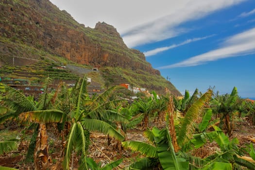 Landscape near Vallehermoso town on the island of La Gomera, Canary Islands, Spain