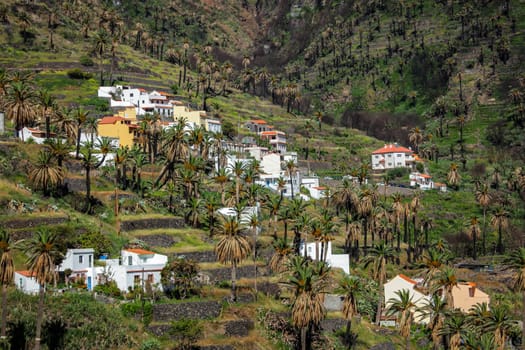Hillside homes in the Valle Gran Rey on the island of La Gomera, Canary Islands, Spain