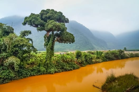 Tropical landscape in xishuabanna region of Yunnan, southern China