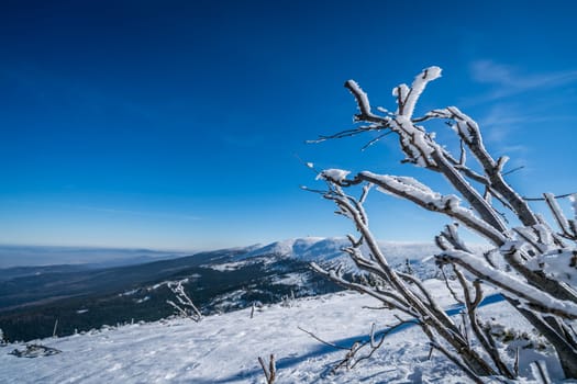 Winter landscape of a Karkonosze mountains as seen from the Szrenica mountain, Poland