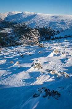 Winter landscape of a Karkonosze mountains as seen from the Szrenica mountain, Poland
