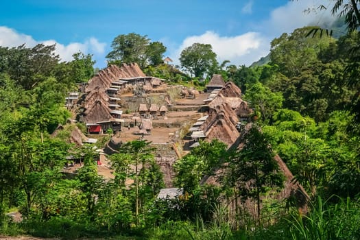 Traditional huts in the Indonesian village Bena on Flores island, Indonesia
