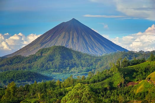 Volcano Mount Inarie on the Flores island, Indonesia