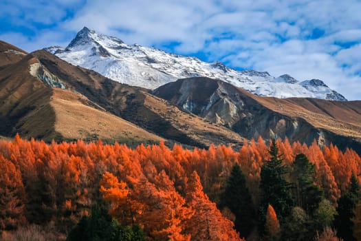 Beautiful mountain scenery on road to Mt Cook in  New Zealand