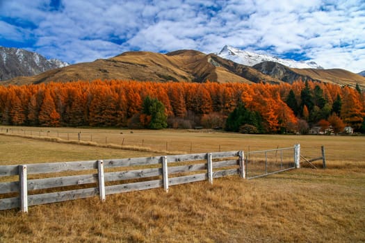 Beautiful rural mountain scenery on road to Mt Cook in New Zealand