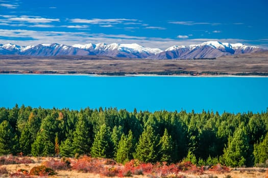 Color of autumn on the New Zealand south island