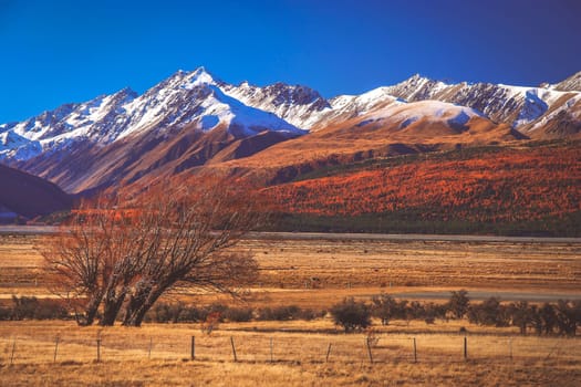 Beautiful mountain scenery on road to Mt Cook New Zealand