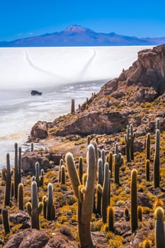 Four wheel drive in the middle of Salar de Uyuni seen from the Cactus Island, Altiplano, Bolivia