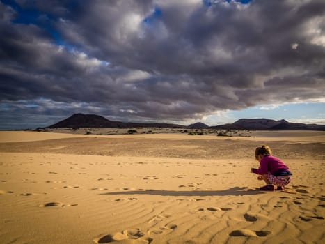 Little girl picking up small stones from the sand on the sand dunes in  the Natural Reserve of Dunes in Corralejo, fuerteventura, Canary Islands, Spain