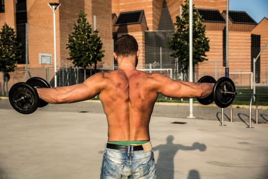 Shirtless Muscular Man Seen from the Back Lifting Weights Outdoor. Showing Healthy Body