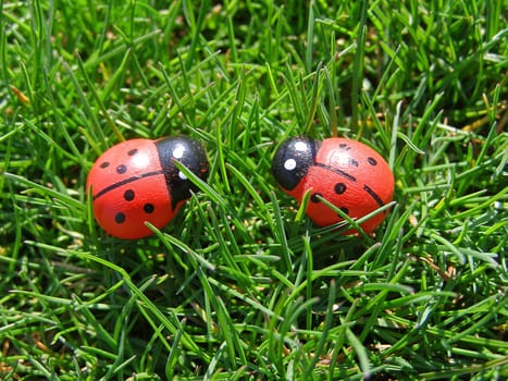 Two ladybugs in the green grass