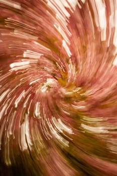 Abstract photo of multicoloured flowers on the ground in the park in spring