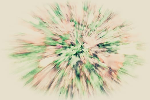 Zooming effect of colorful flowers in spring