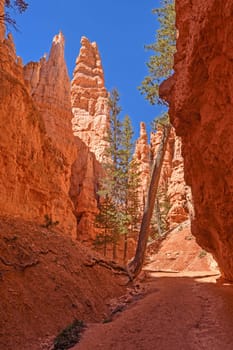 Secluded Canyon in the Mountains on Bryce Canyon National Park in Utah