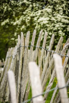Close up of an old wooden fence