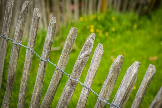 Close up of an old wooden fence