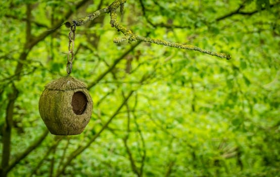 Small bird nest hanging on a tree branch in a forest