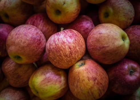 Fresh tasty delicious yellow and red apples for sale on the market in Ponta Delgada in Sao Miguel, Azores, Portugal